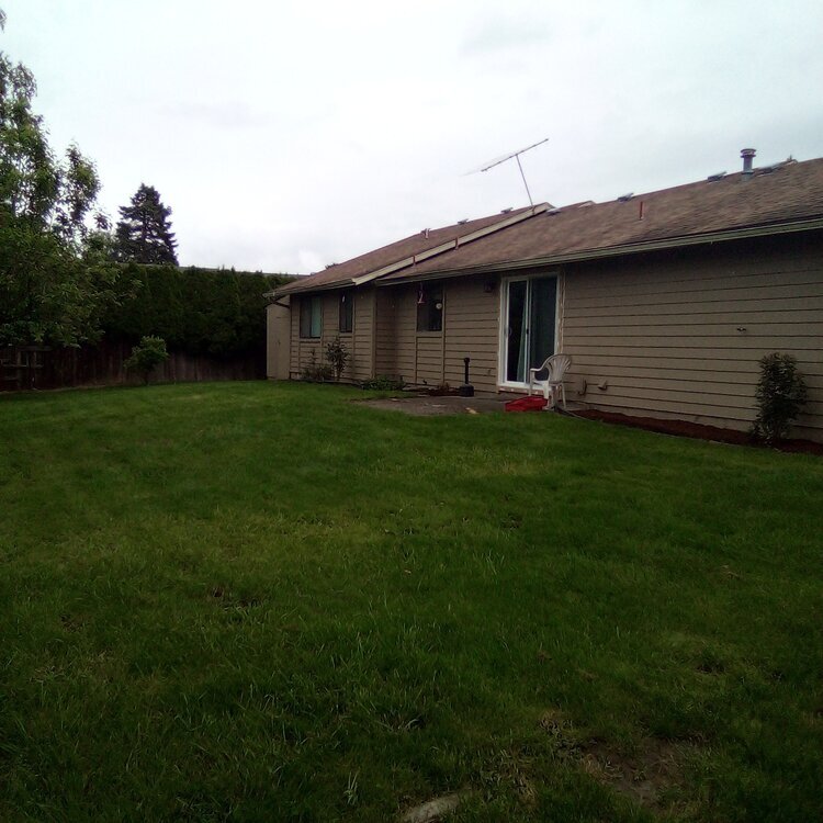 House and grassy backyard