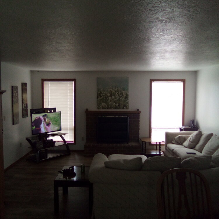 Living room with tv and fireplace in the Falcon House